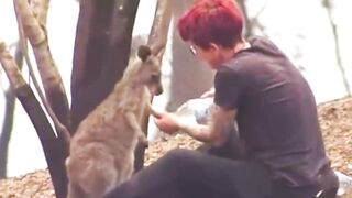 30 Animals That Asked People For Help & Kindness !