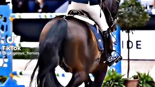 Horse tiktok