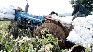 My tractor take corn from farm