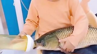 Danda gagau para o peixinho.