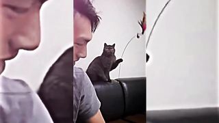 TIKTOK|MEMES FUNNY MOMMENT