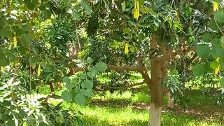 Heal Mind Body | #shortvideo #febspotshorts #nature