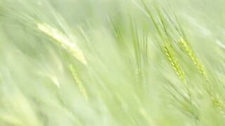 Amazing Nature for Relax | #febspot #meditationvideo #relaxing view