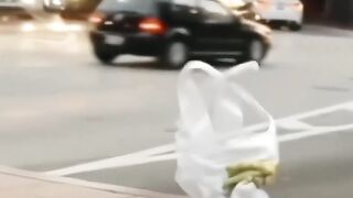Relax by watching this funny video