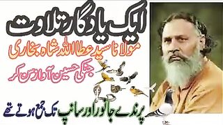 ایک یادگار تلاوت