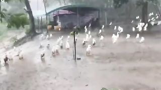 The rain made them uncomfortable