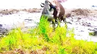 The Amazing save life
