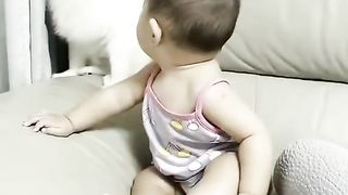 Funny video animal & cute baby