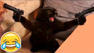 New funny animals????funniest cats and dogs vidéos