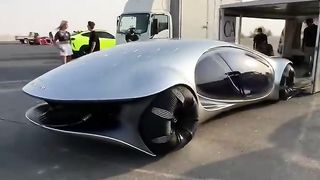 Funny video
