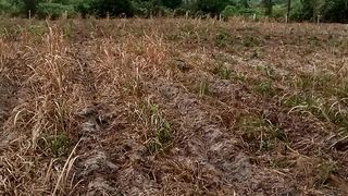 Jual pupuk