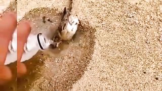 Water is Life | #life #short