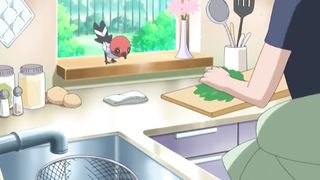 Anime pokemon
