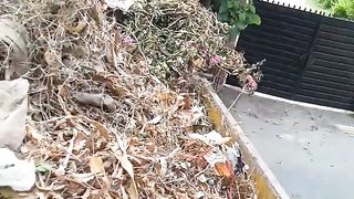 Waste look