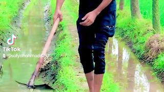 Pinda wale 2