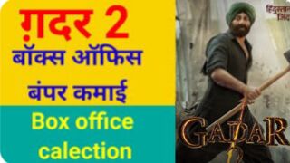 Gadar 2 box office clection