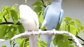Ha ha ha when your partner got angry try this