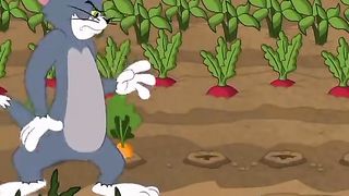 Tom &Jerry cartoon
