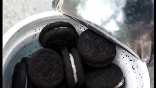 Filling platter with cookies food