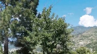 Infotainment Travel SWAT Valley
