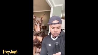 (Clean) Try Not to LAUGH ???? Challenge IMPOSSIBLE | Funny Memes Compilation 2023 5