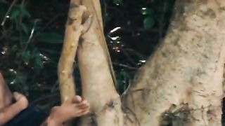 Primitive Technology 2
