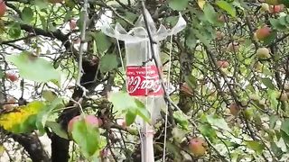 Uradi sam - berac za jabuke.