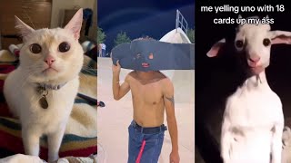 TikToks that are actually Funny