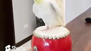 #viral #trending short #best crazy clip#funny short#intresting video#plzzzzzzzzz subscribe my chanel #please like and follow #@Didyouknow068