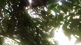 Animal lovers 558