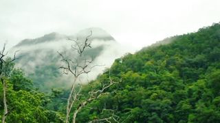 Beautiful Amazing Video | Nature for Sleeping | 4k Scenery | Viral Video | febspot