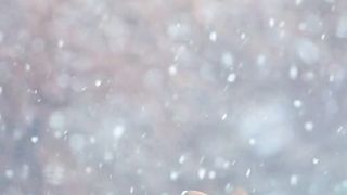 Nature Made Calm and Relax | Most Beautiful Birds 21 | shortsvideo | febspotshorts