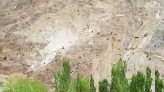 Beautiful place 33