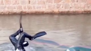 Deadly diving in the sea