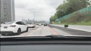 Driver reflex or Tesla autopilot? | #shortvideo #trending #driver #tesla