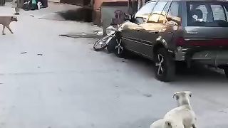 Its so funny 2