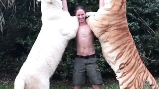 HUMAN FACILITIES WITH TIGERS