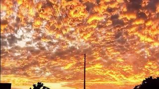 Sunset  Scene | Beautiful Sunset | #shortvideo #viral #beautiful