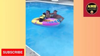 Funny Dogs Video????????????????????????