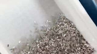 magnet
