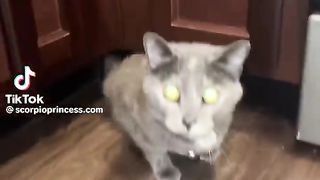 Compilations You Watch With Your Mid Day Snack