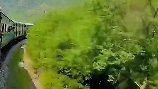 Beautiful greenery 3