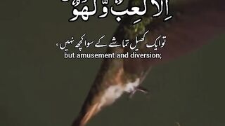 دنیا کی زندگی کھیل تماشہ