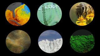 NASA explore Earth ???? connectionsq