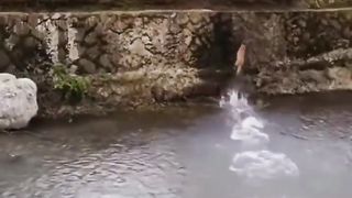 ???? Funny | When "Too Much" Becomes an Art: Hilarious Antics Unleashed! | FunFM