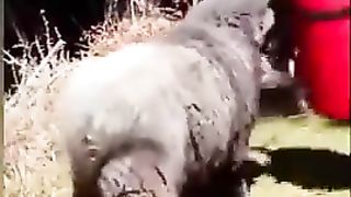 ???? Funny | "U Wot, M8?" Unleashed: Hilarious Reactions Galore! | FunFM