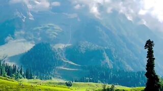 Viral video 39