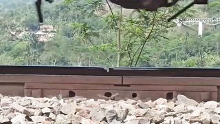 Railroads