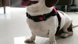 POGI 150 Challenge