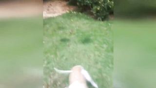 Funniest Cats And Dogs Videos ???? - Best Funny Animal Videos 2023 ???? #2 2